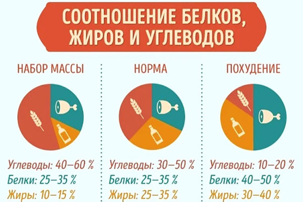 Баланс білків, жирів і вуглеводів у раціоні